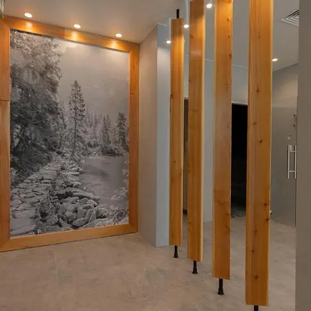 Apartment Vacationclub - Zakopianskie 306 *